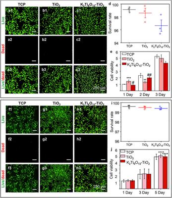 Potassium Titanate Assembled Titanium Dioxide Nanotube Arrays Endow Titanium Implants Excellent Osseointegration Performance and Nerve Formation Potential